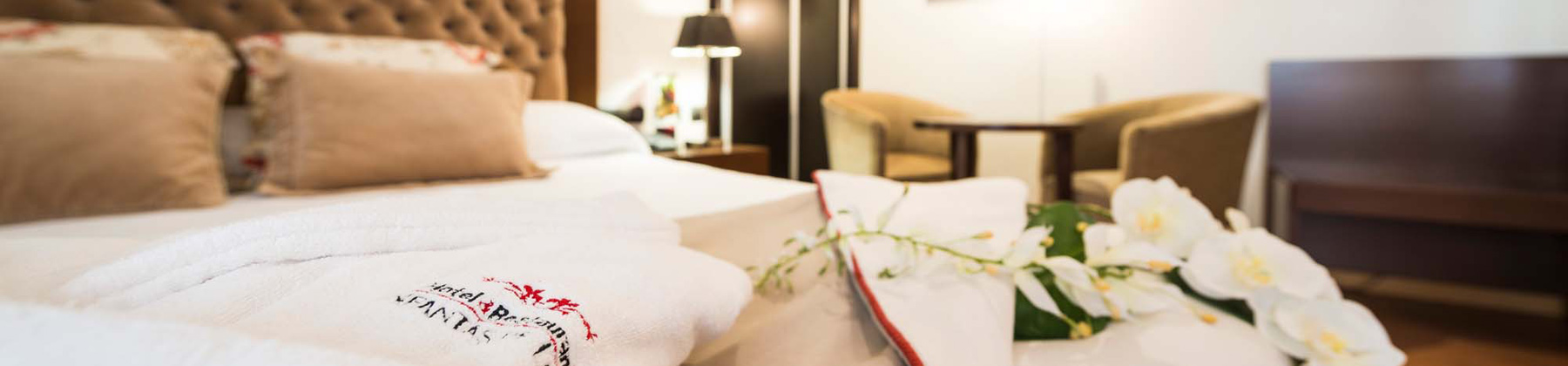 Galería del Hotel FC Infantas de León en León. Web Oficial.